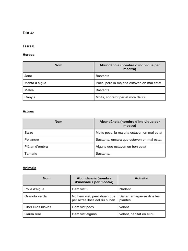 DIA 4 - Tasca 8 | PDF