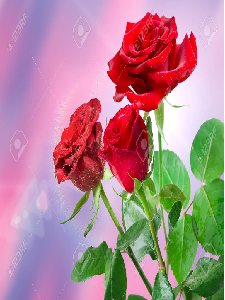 FLEUR | PDF