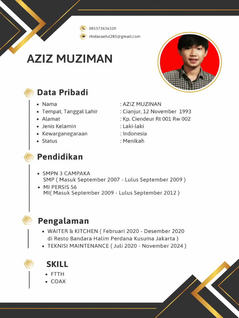CV Aziz New | PDF