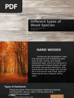Top Philippine Hardwood Trees | PDF | Wood | Trees