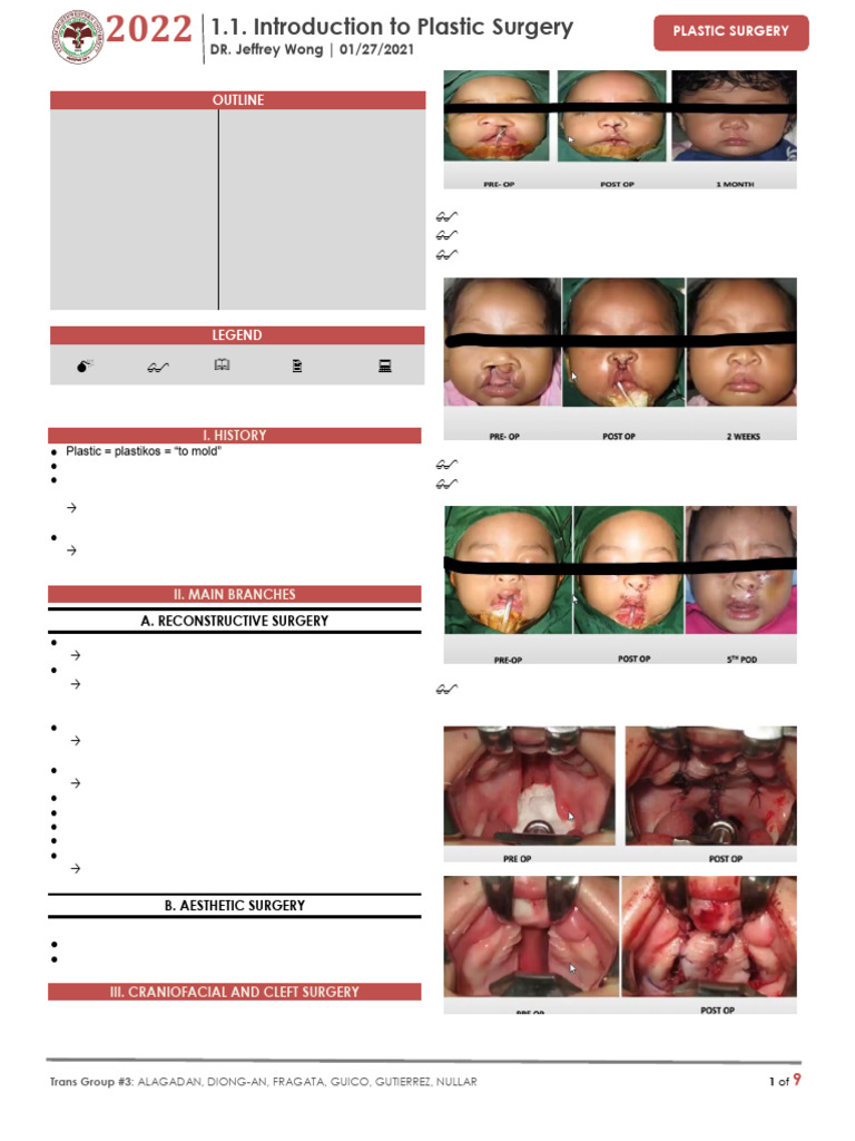 Overview of Plastic Surgery Techniques | PDF | Plastic Surgery | Oral ...