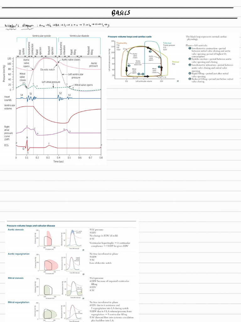 CVS 250415 234020 | PDF