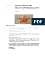 Alimentación de Las Estrellas de Mar