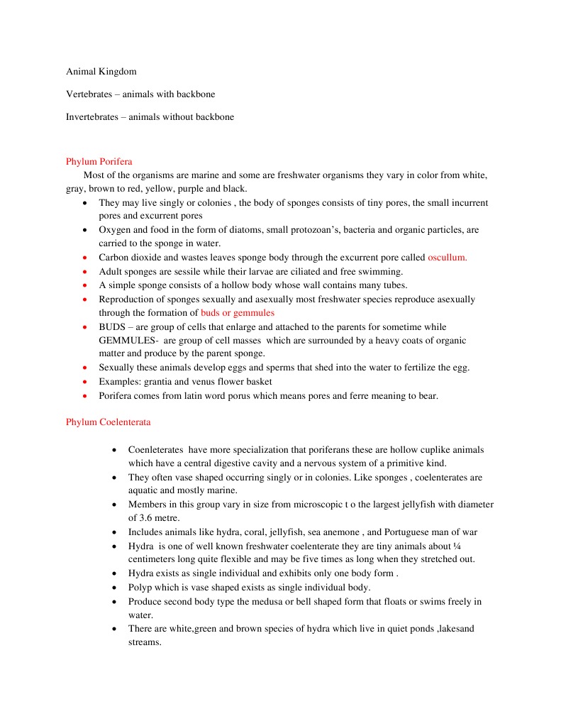 Animal Kingdom Invertebrates Sponges, Jellyfish, Flatworms PDF