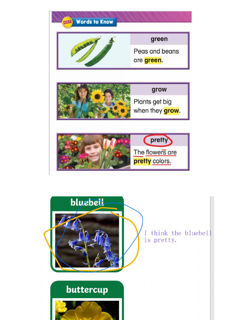 2.12 Class Notes Arthur | PDF