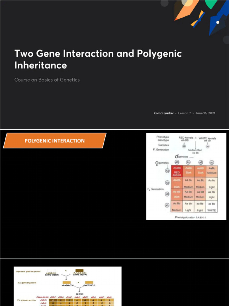 Two Gene Interaction and Polygenic Inheritance No Anno | PDF