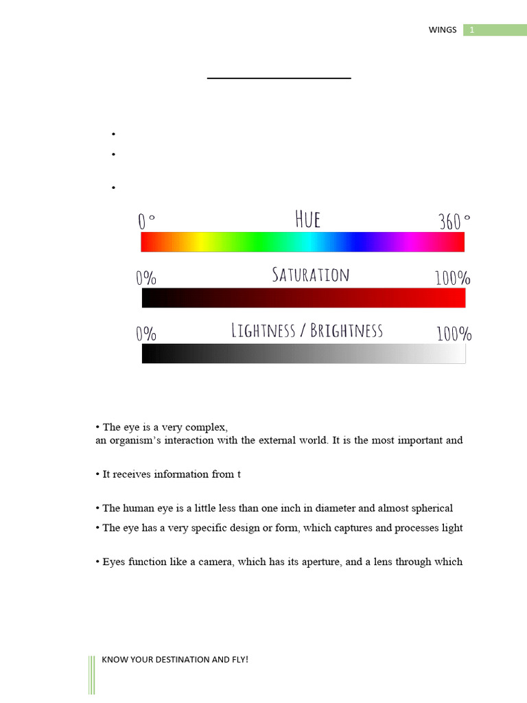 Understanding the Retina's Role in Vision | PDF | Retina | Eye