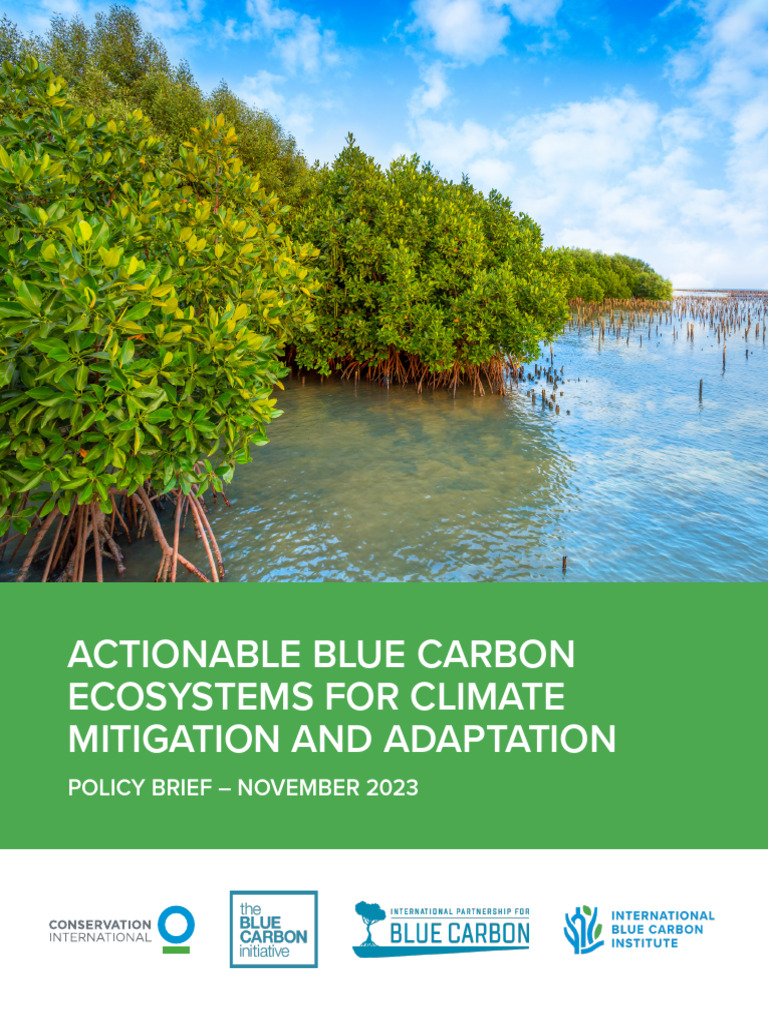 Actionable Blue Carbon for Climate Policy | PDF | Climate Change ...