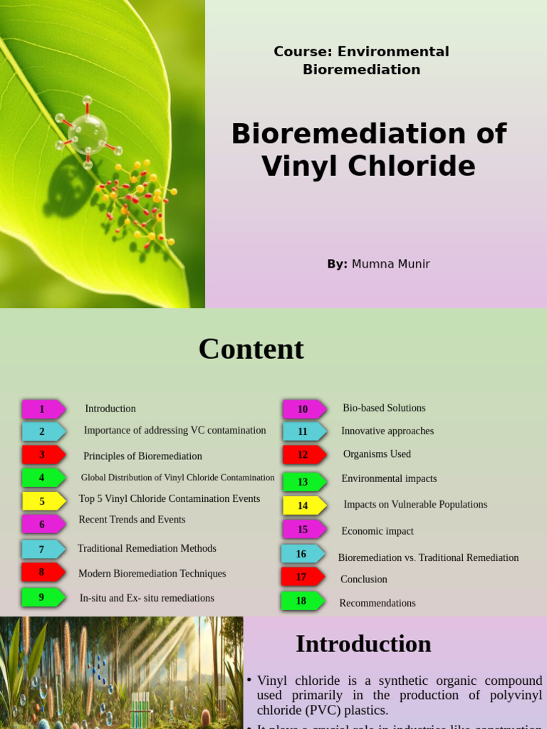 Bioremediation of Vinyl Chloride | PDF | Polyvinyl Chloride ...
