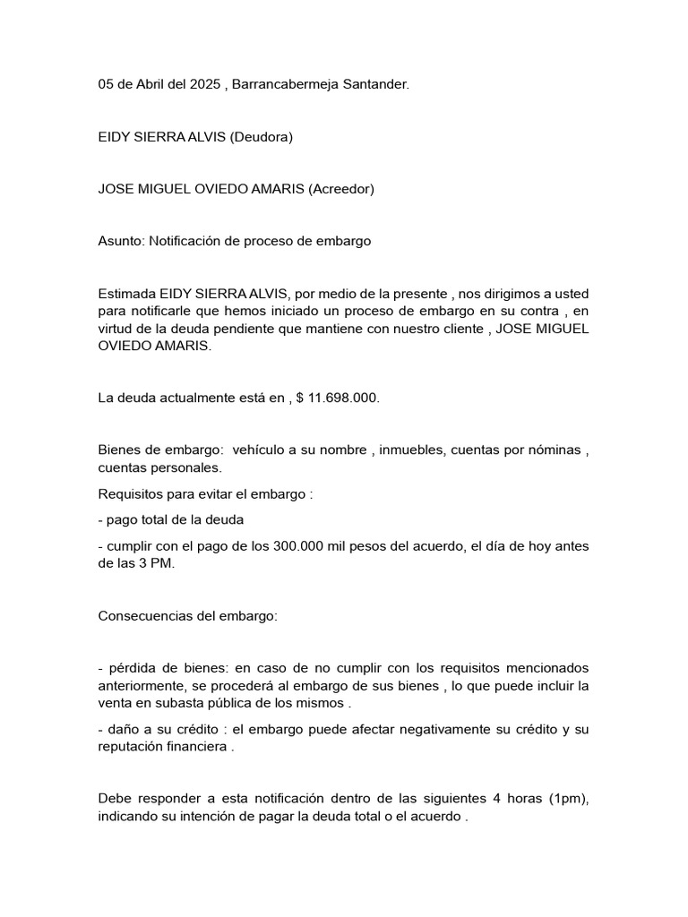 Notificación de Proceso de Embargo | PDF