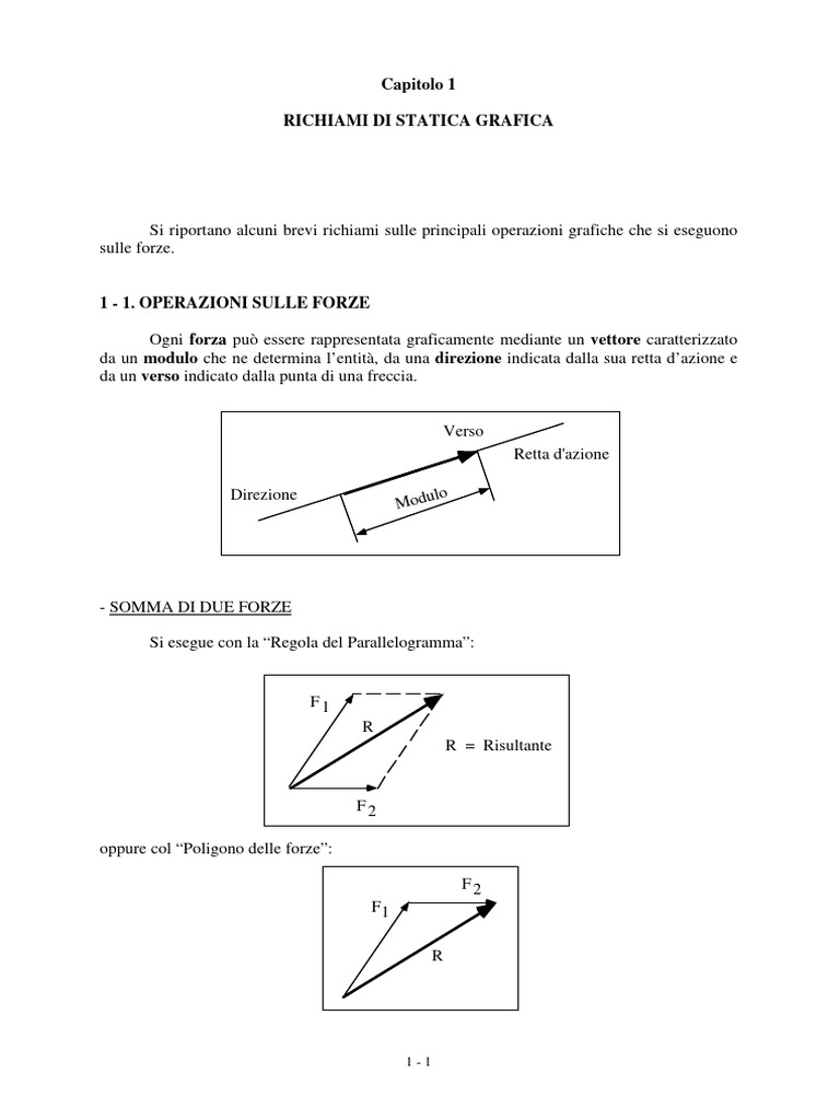Cap 1 Statica Grafica | PDF
