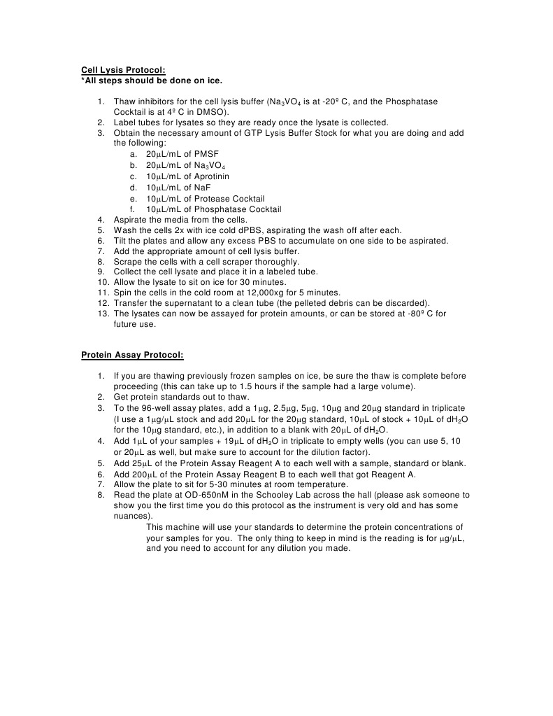 Cell Lysis and Protein Assay Protocol | PDF