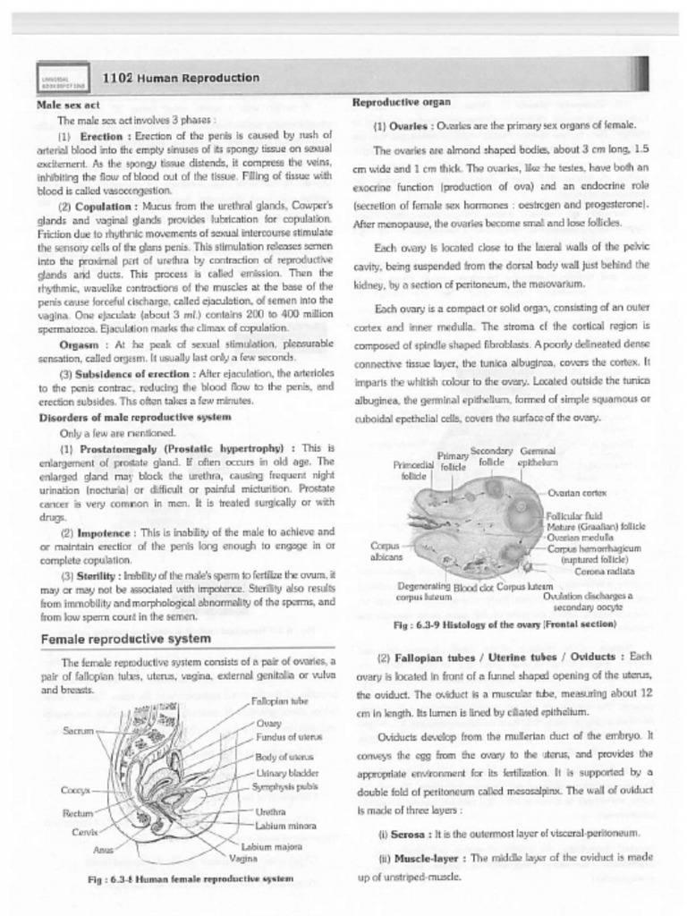 Errorless Biology Part 2 54 Pdf