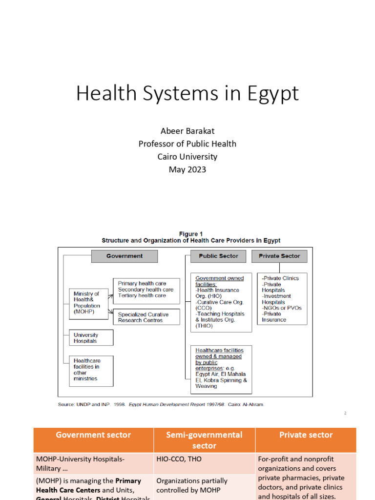 Overview of Egypt's Health Systems | PDF | Hospital | Health Care