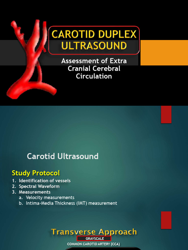 Carotid Doppler Report Guidelines | PDF | Common Carotid Artery | Human ...