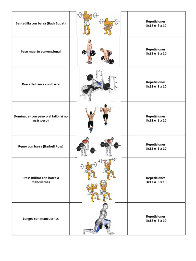 Rutina Full Body de 3 Días en Gym | PDF