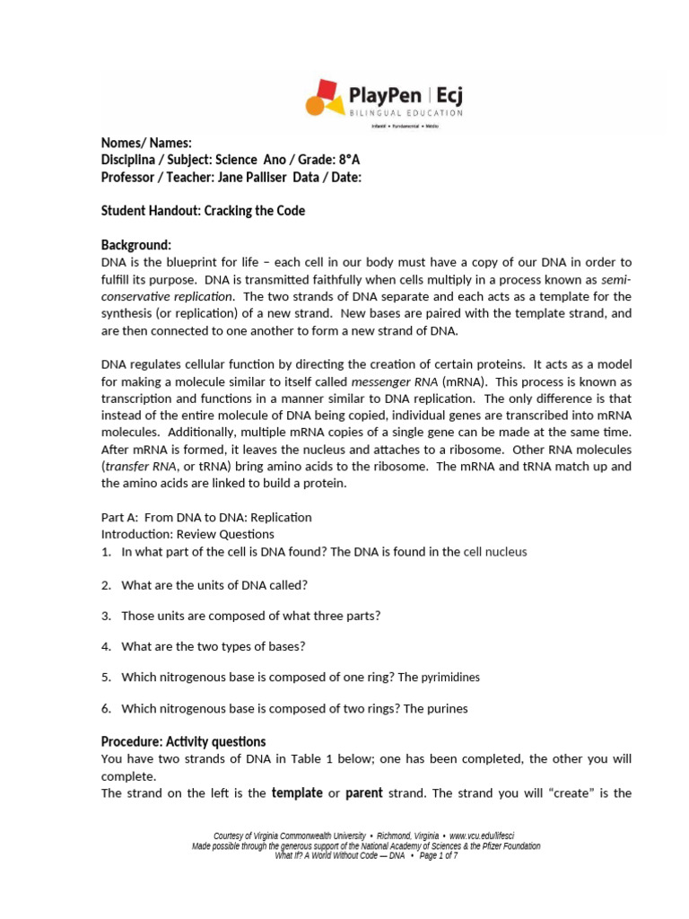 DNA Replication and Protein Synthesis Guide | PDF | Rna ...