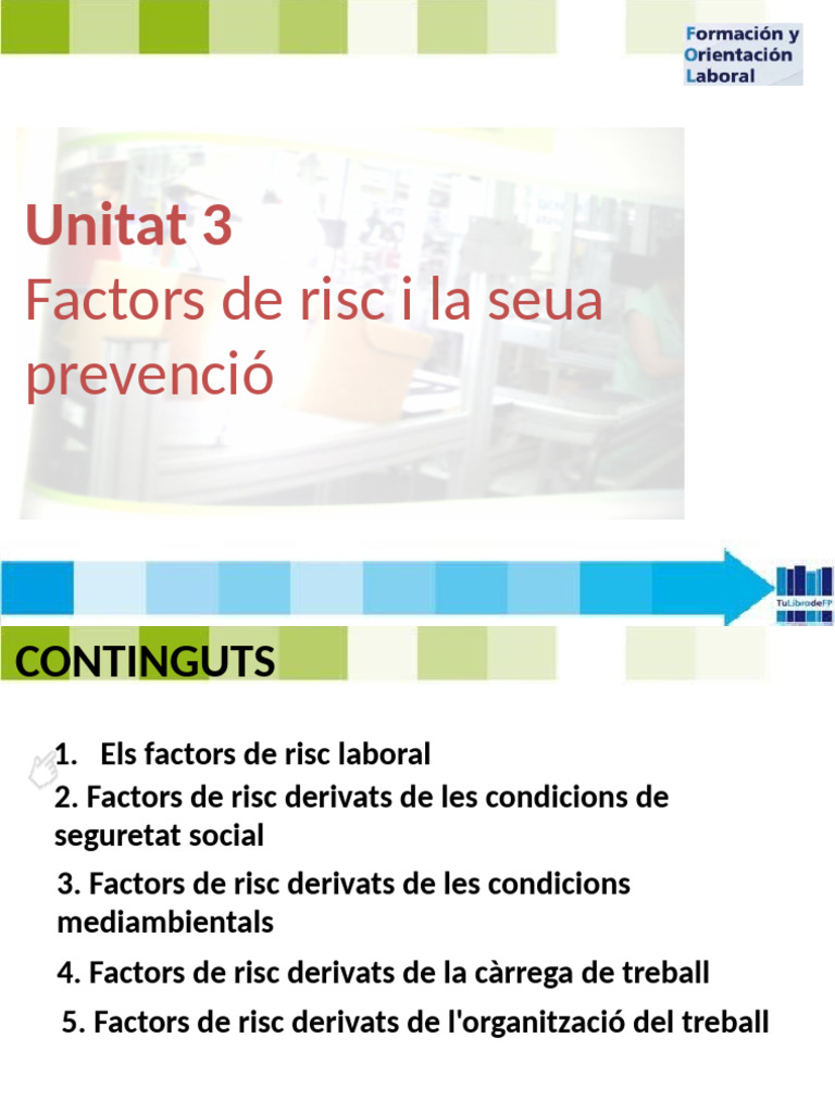 Fol 3 Factors de Risc I La Seua Prevenció | PDF