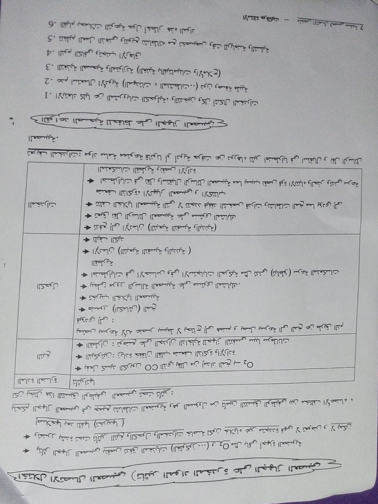 Ali 7 | PDF