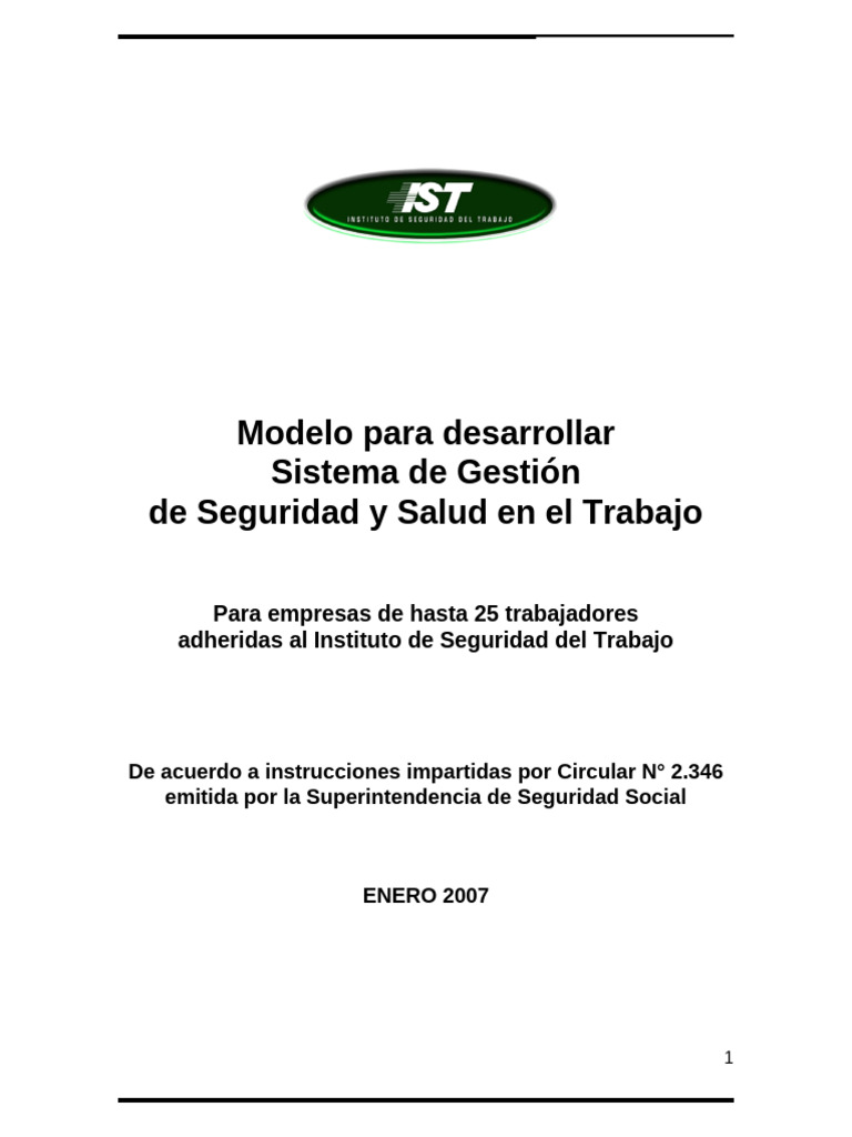 Sistema de Gestión de La Seguridad y Salud en El Trabajo | PDF ...