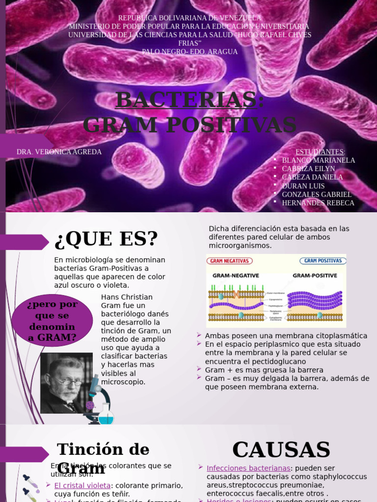 BACTERIAS GRAM POSITIVAS | PDF | Penicilina | Las bacterias