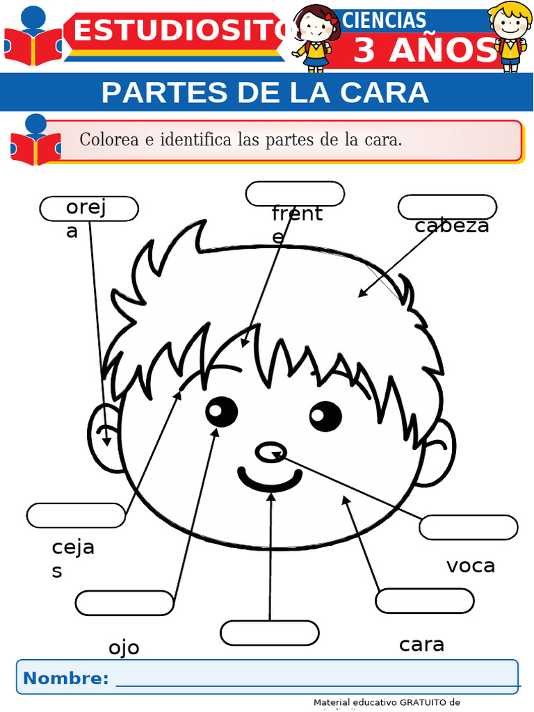 Partes de La Cara para Ninos de Tres Anos | PDF