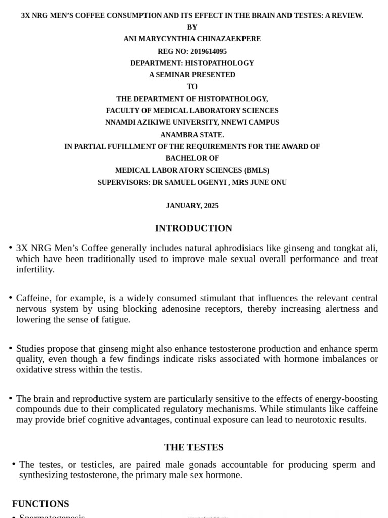 Effects of 3X NRG Coffee on Brain & Testes | PDF | Testosterone | Testicle