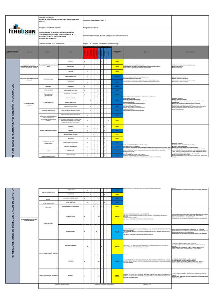 analisis de riesgos 2da fase los gallos | PDF | Agresión