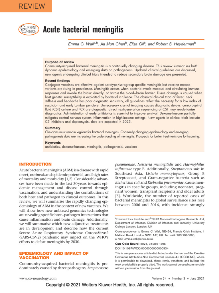 Acute Bacterial Meningitis.19 | PDF | Meningitis | Medical Specialties
