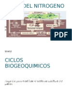 CicloN-proceso circulaN2organismos