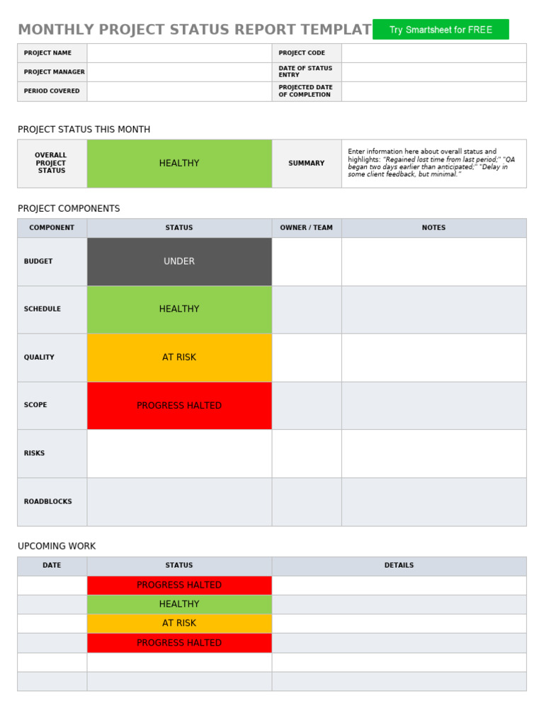 Monthly Project Status Report Template | PDF