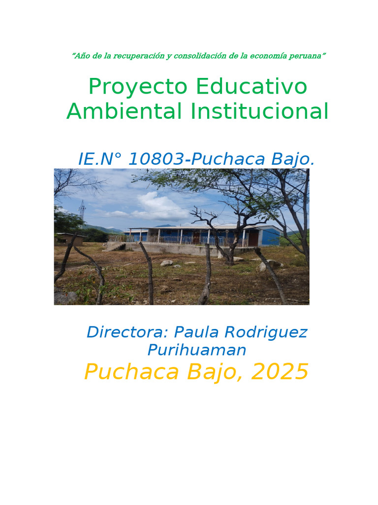 Proyecto Educativo Ambiental 2025 | PDF | Sustentabilidad | Maestros