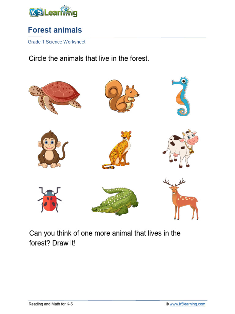 K-5 Forest Animals Worksheet | PDF