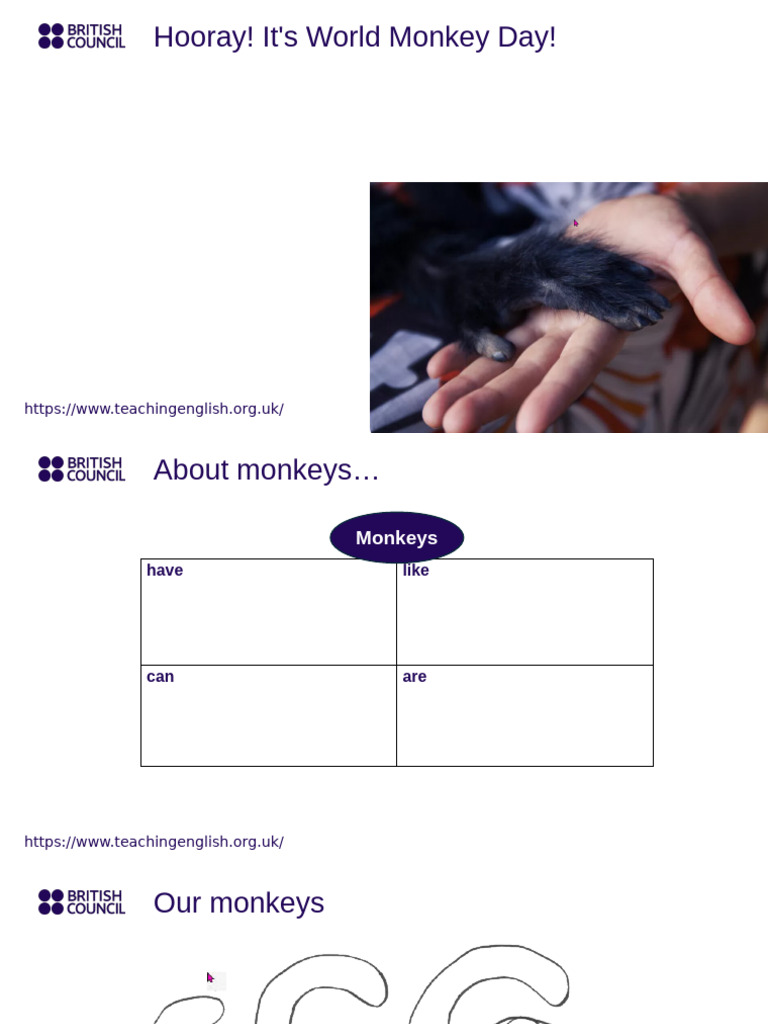 Presentation - World Monkey Day | PDF