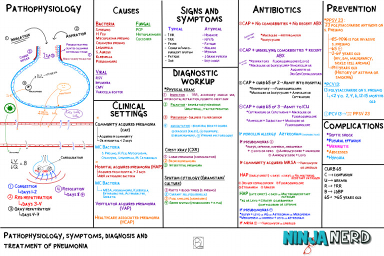 Pneumonia Pathophysiology (1) Atf | PDF