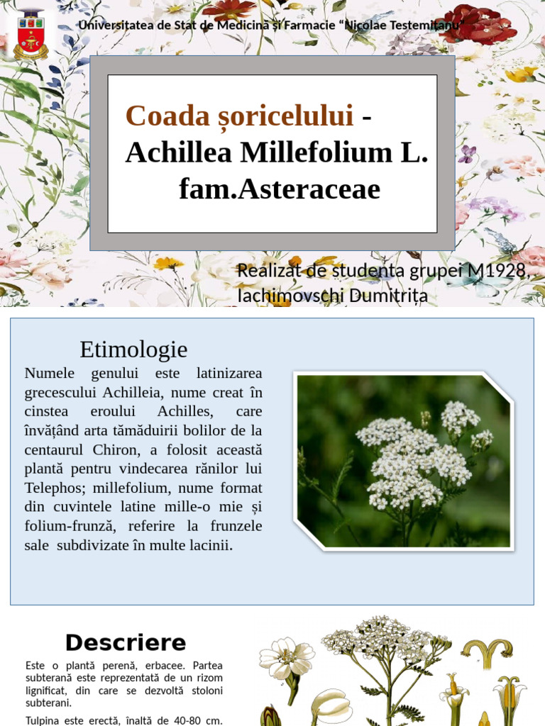 Coada Soarecelui | PDF