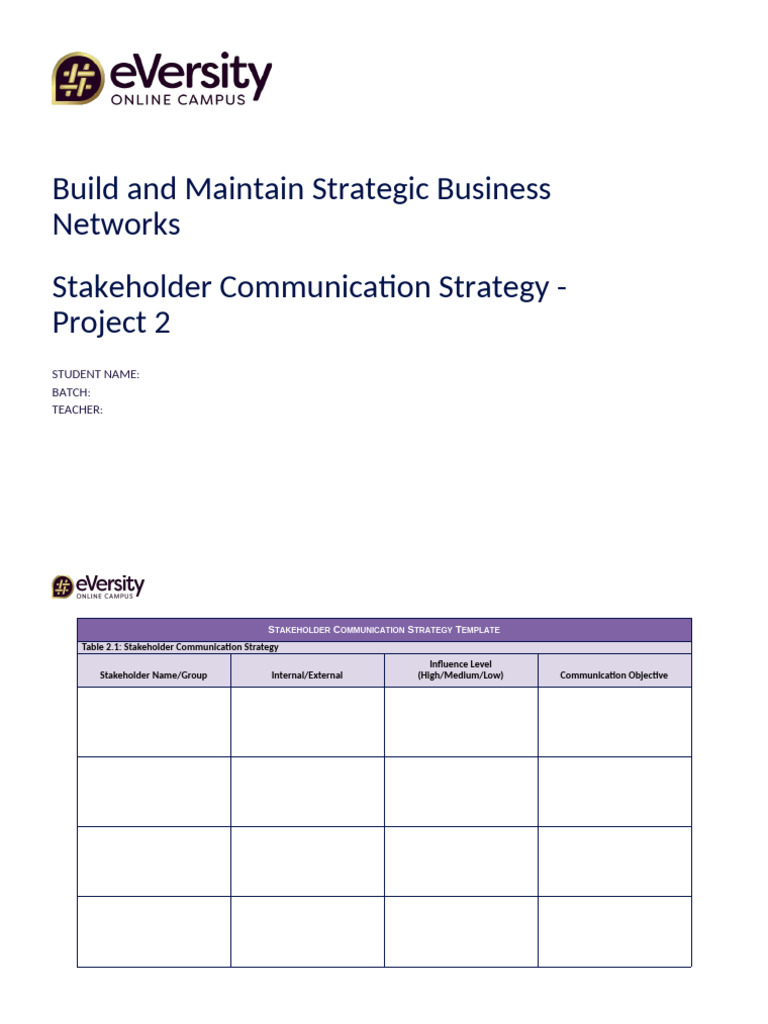 Strategic Business Networking Template | PDF