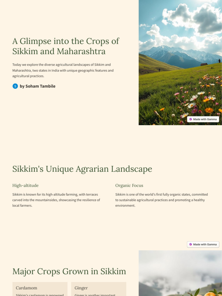 Major Crops of Sikkim and Maharashtra | PDF | Agriculture | Food Industry