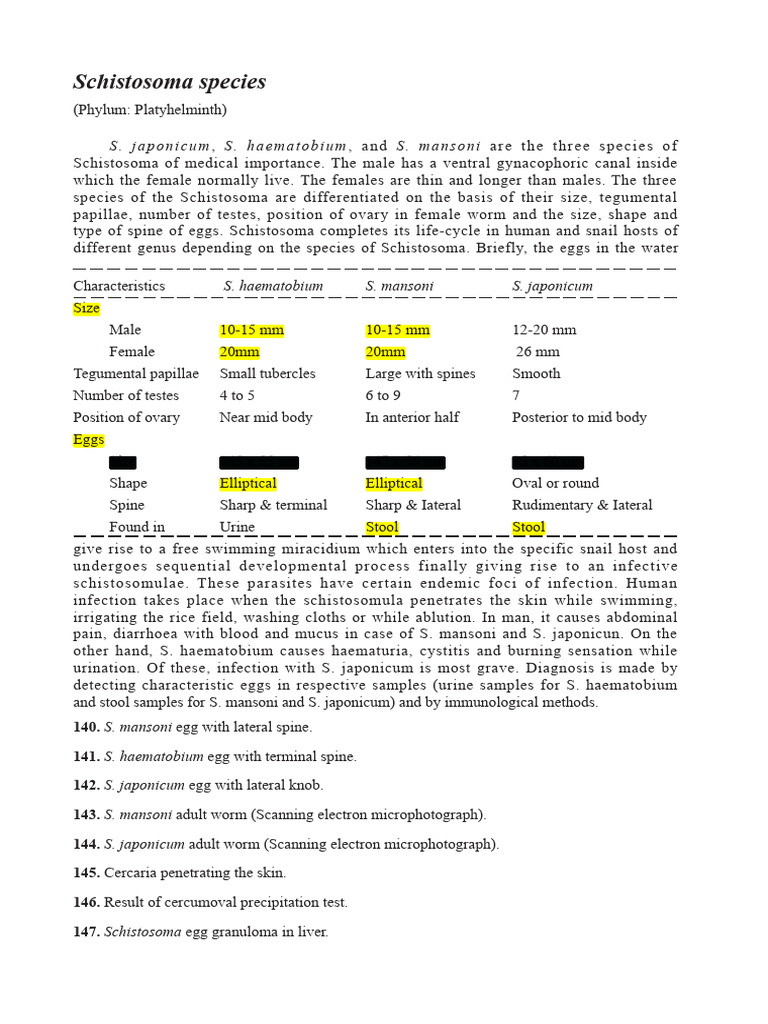 Schistosoma Species: S. Japonicum S. Haematobium S. Mansoni | PDF ...