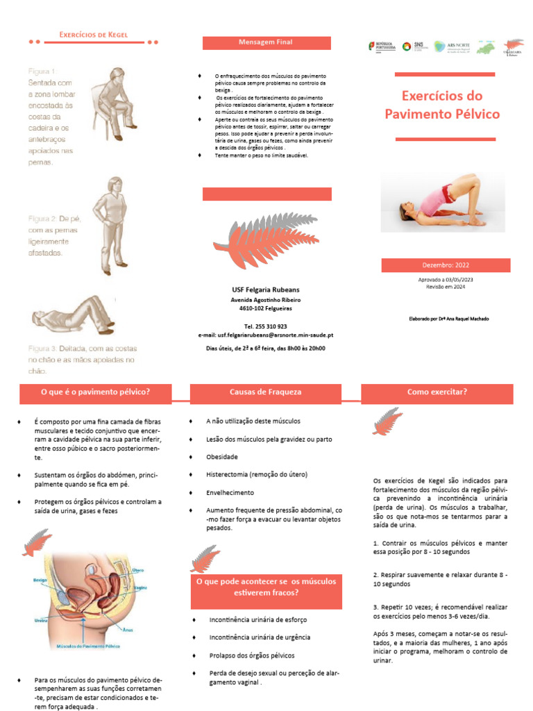 Exercícios de Kegel para Pavimento Pélvico | PDF | Pélvis | Músculo
