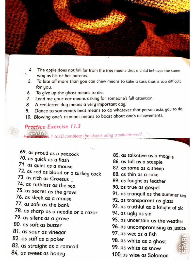 Basic English | PDF
