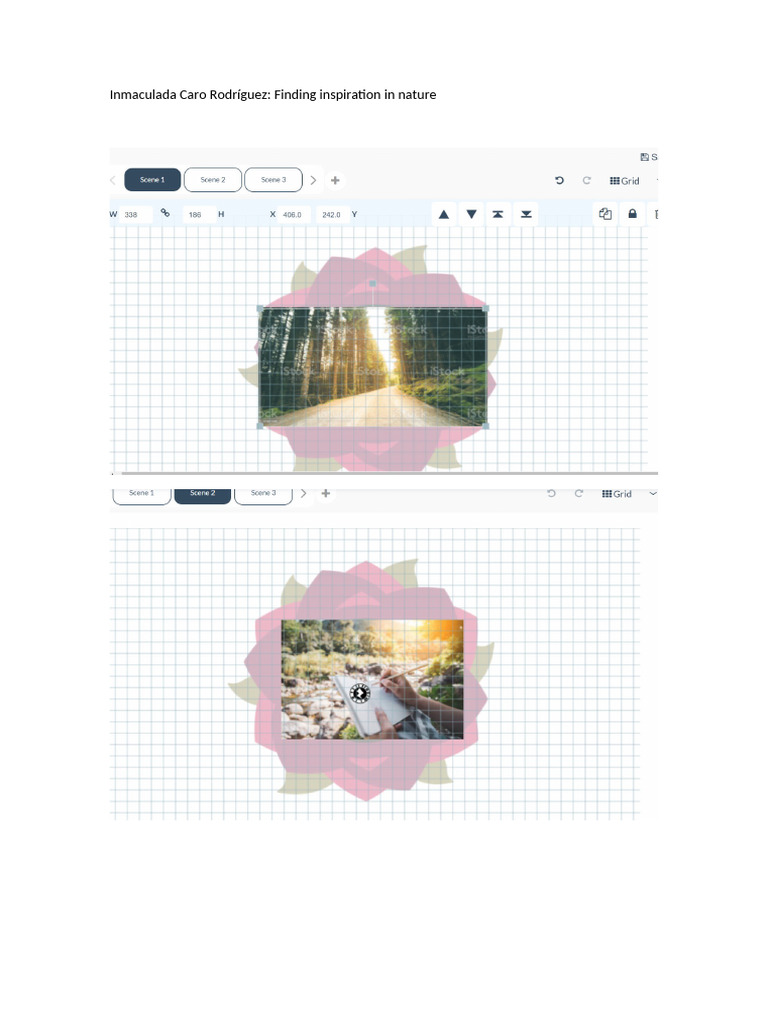 finding-inspiration-in-nature-pdf