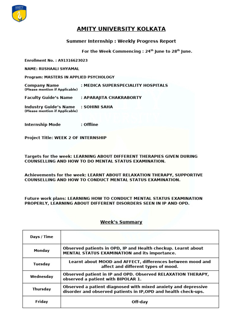 Psychology Internship Progress Report | PDF