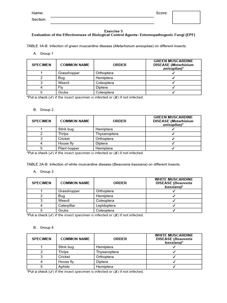 LMLM AGR006 Exercise 5 | PDF | Insects | Insects And Humans