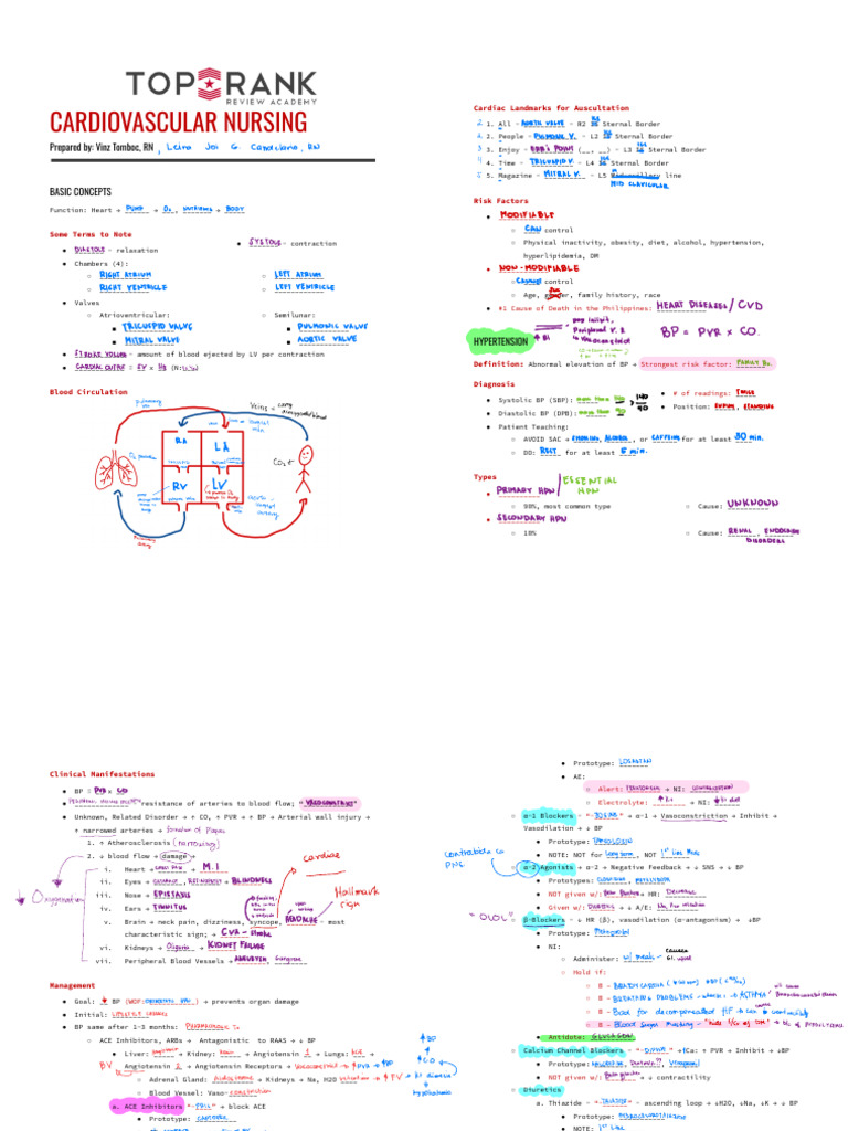 Cardiovascular Nursing Overview | PDF | Heart Valve | Heart