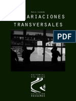 Desvariaciones Transversales - Mario Caamaño