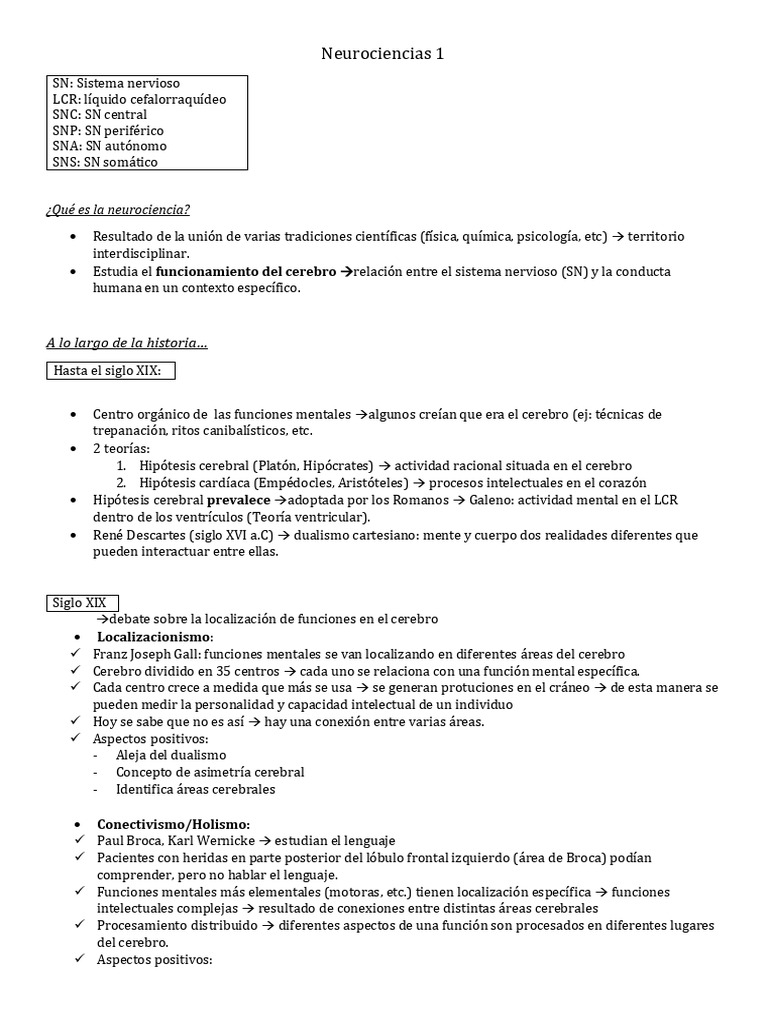 Neurotransmisores y Neuronas en Acción | PDF | Sinapsis | Neurona