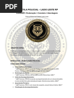 Códigos Q e 10 da Polícia no GTA RP | PDF