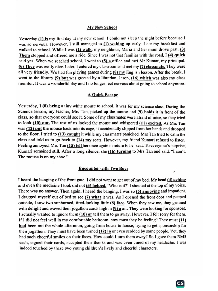Error Correction Story | PDF