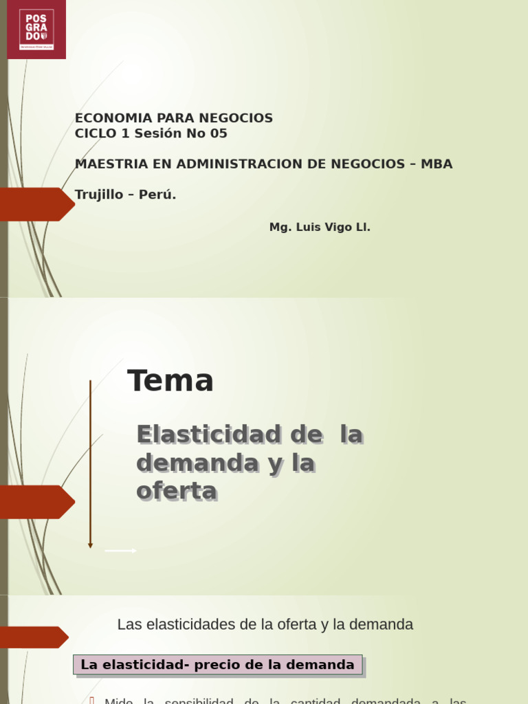 Elasticidad de la Demanda y Oferta en Negocios | PDF | Elasticidad ...